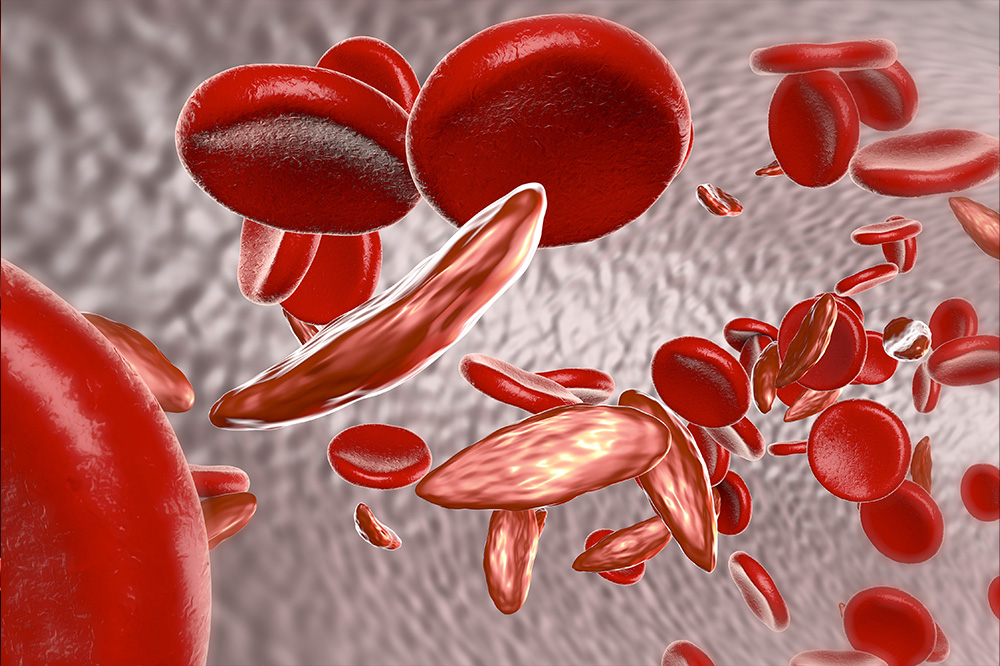 red blood cells